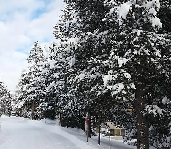 Sesvenna Apartament *